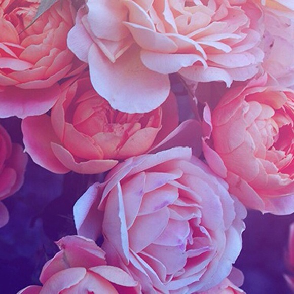 Meet your Posher, Ami - Picture 1 of 1